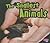 The Smallest Animals (Extreme Animals)