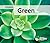 Green (Colors)
