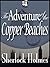 The Adventure Of The Copper Beeches by Arthur Conan Doyle The Adventure Of The Copper Beeches by Arthur Conan Doyle