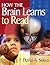 How the Brain Learns to Read