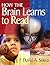How the Brain Learns to Read