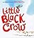 Little Black Crow