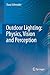 Outdoor Lighting: Physics, Vision and Perception