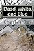 Dead, White, and Blue by Charles Ray