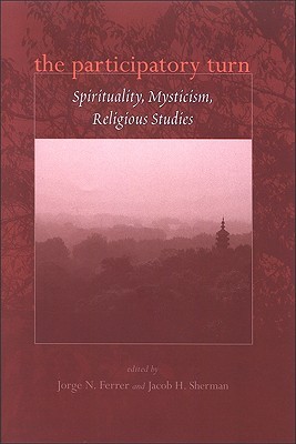 The Participatory Turn: Spirituality, Mysticism, Religious Studies (Hardcover)