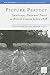 Picture Perfect: Landscape, Place and Travel in British Cinema Before 1930 (New Research in British Film and Television Studies)