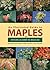 An Illustrated Guide to Maples