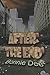 After the End