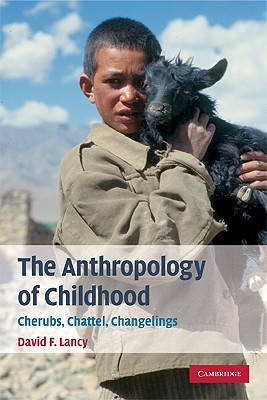The Anthropology of Childhood: Cherubs, Chattel, Changelings (Paperback)