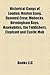 Historical Gangs of London: Hoxton Gang, Damned Crew, Mohocks, Birmingham Boys, Hawkubites, the Yiddishers, Elephant and Castle Mob