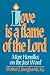 Love Is a Flame of the Lord: More Homilies on the Just World