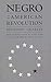The Negro in the American R...