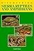 Discovering Sierra Reptiles and Amphibians (Discovering Sierra Series)