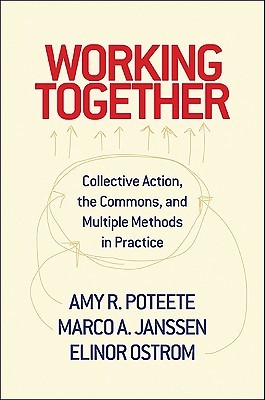Working Together: Collective Action, the Commons, and Multiple Methods in Practice (Hardcover)