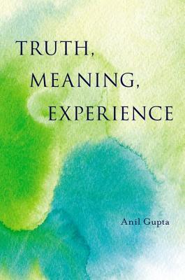 Truth, Meaning, Experience (Hardcover)