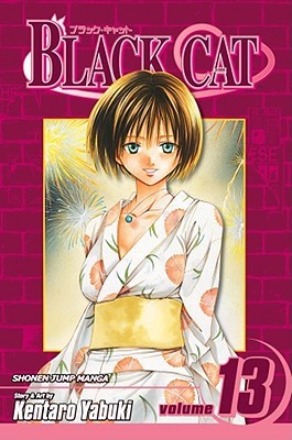 Black Cat, Volume 13 (Paperback)