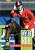Wylde Ride: A Horseman's Story