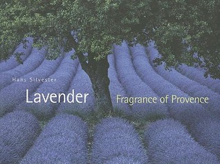 Lavender: Fragrance of Provence (Hardcover)