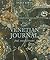 A Venetian Journal: Food, Travel, Dreams