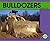 Bulldozers (Transportation, 2)