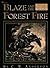 Blaze and the Forest Fire: ...