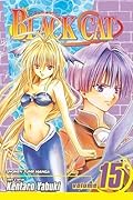 Black Cat, Volume 15