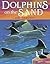 Dolphins on the Sand