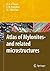 Atlas of Mylonites - and related microstructures by Rudolph A.J. Trouw