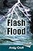 Flash Flood