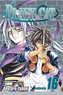 Black Cat, Volume 16 (Paperback)