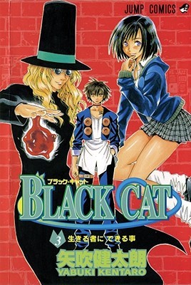 Black Cat, Volume 03 (Paperback)