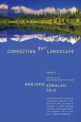 Correcting the Landscape (Paperback)