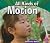 All Kinds of Motion