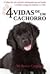 4 Vidas de um Cachorro by W. Bruce Cameron