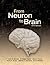 From Neuron to Brain
