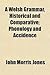 A Welsh Grammar, Historical and Comparative: Phonology and Accidence