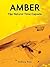 Amber: The Natural Time Capsule
