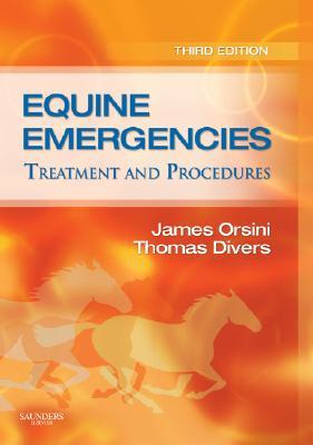Equine Emergencies: Treatment and Procedures (Paperback)
