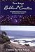 Two Stage Biblical Creation: Uniting Biblical Insights Uncovered by Ten Notable Creation Theories