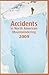 Accidents in North American Mountaineering 2009 by American Alpine Club