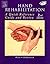 Hand Rehabilitation: A Quick Reference Guide and Review