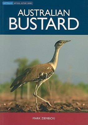 Australian Bustard (Natural History)