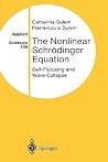 The Nonlinear Schrödinger Equation: Self-Focusing and Wave Collapse