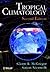 Tropical Climatology