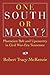 One South or Many?: Plantat...