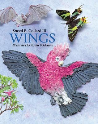 Wings (Hardcover)
