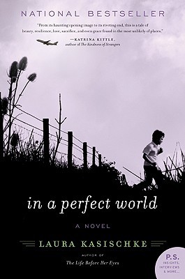 In a Perfect World (Paperback)