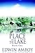 The Place on the Lake: Book One: A Story of Lust And Punishment