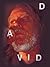 Biblical Fictions by D.A. Vid