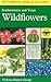 A Field Guide To Southwestern And Texas Wildflowers (Peterson Field Guides)
